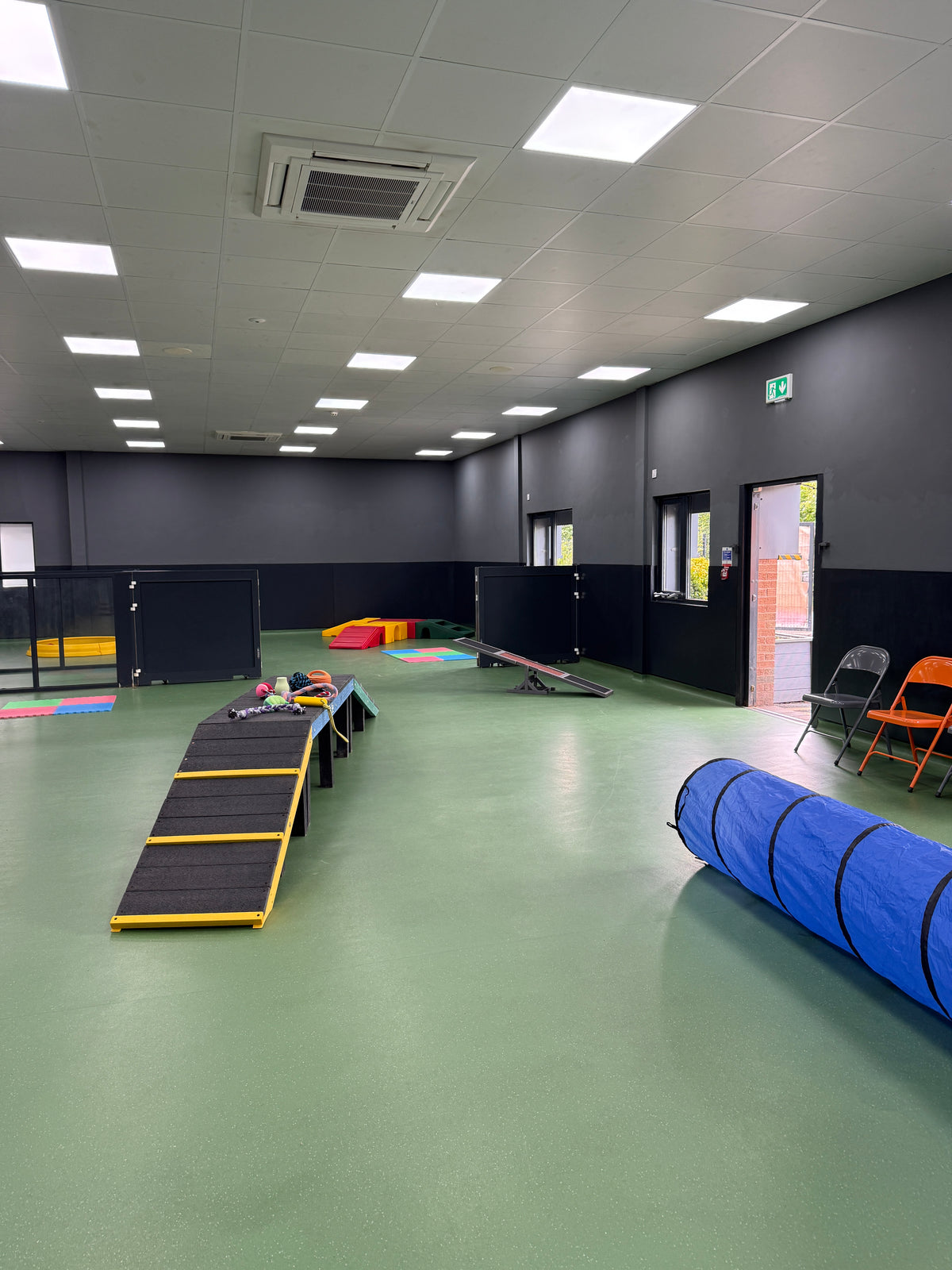 Dog Park Interior